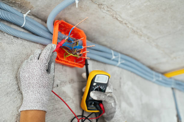 Best Electrical System Inspection  in Dudley, NC