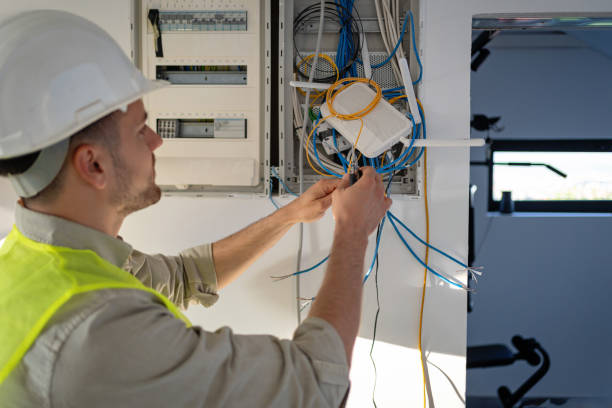 Best Local Electrician Companies  in Dudley, NC